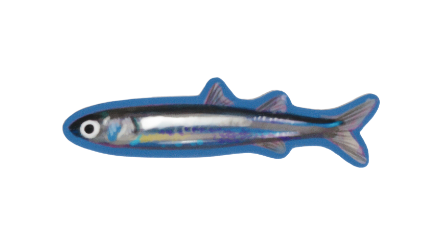 BLUE PHISH! sticker