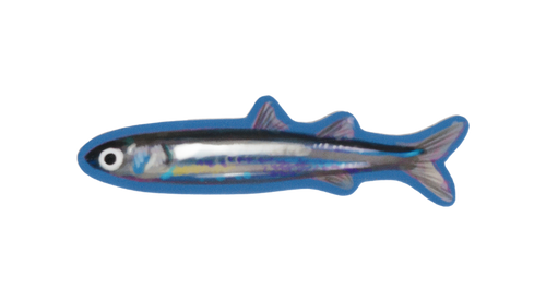BLUE PHISH! sticker