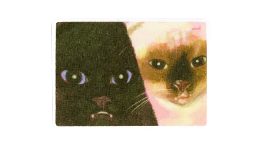 CAT SELFIE! Sticker