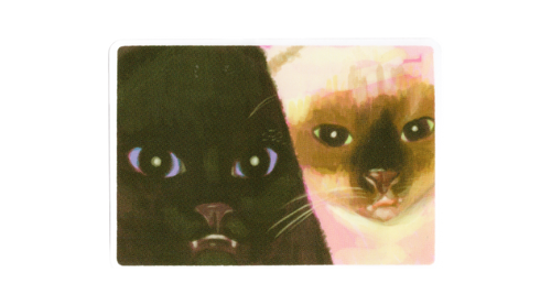 CAT SELFIE! Sticker